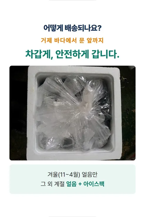 홍합, 4kg, 1박스 상세 이미지 19