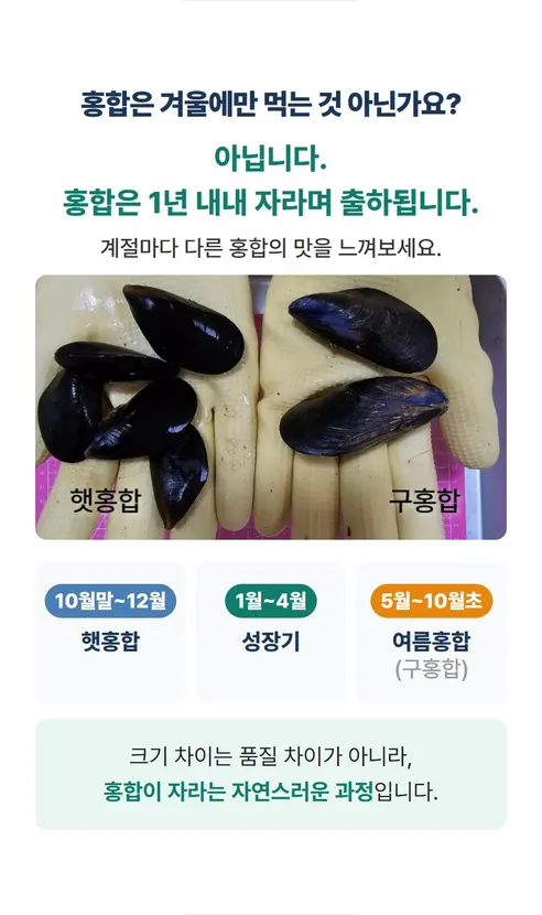 홍합, 4kg, 1박스 상세 이미지 8