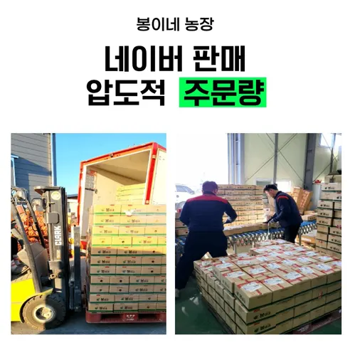 봉이네 햇 양파, 2026년수확, 국내산, 특상, 5kg, 1개 상세 이미지 6