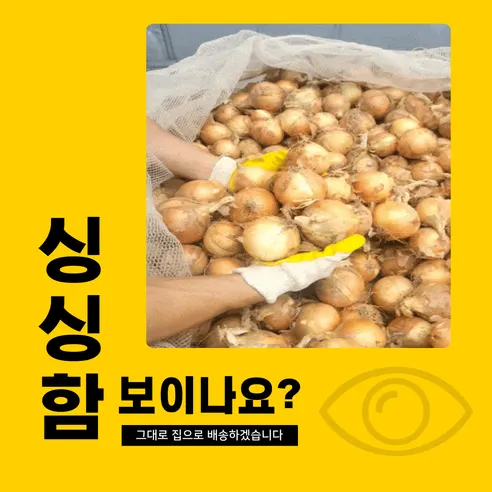 봉이네 햇 양파, 2026년수확, 국내산, 특상, 5kg, 1개 상세 이미지 9