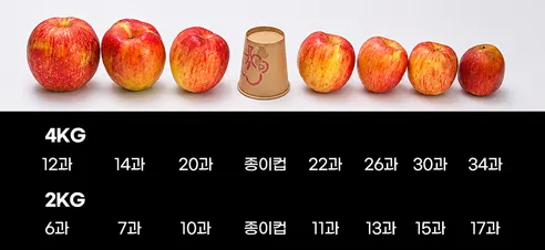 경북 홍로사과, 14-16과, 2kg, 1박스 상세 이미지 6