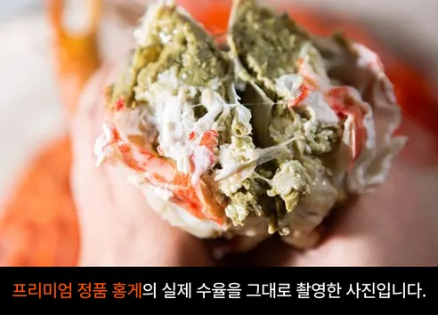 자숙 동해안 홍게, 3.5kg, 1개 상세 이미지 3