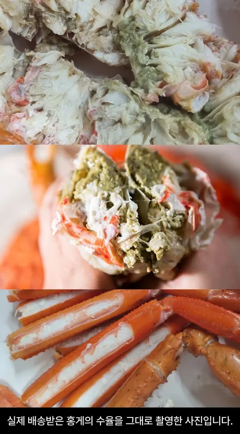 자숙 동해안 홍게, 3.5kg, 1개 상세 이미지 6