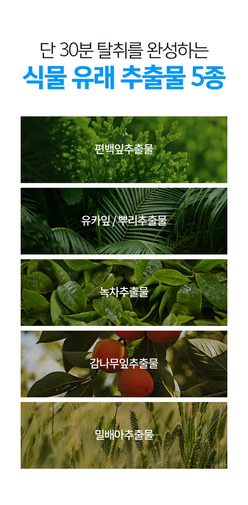 살림백서 데오 에어 프레쉬 실내 고체탈취제, 런드리 허그 코튼, 350g, 1개 상세 이미지 8