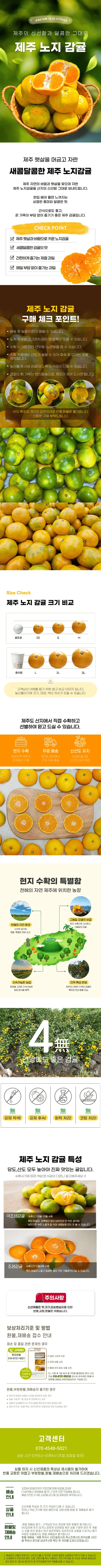 제주 노지 감귤, 로얄과 S-M, 5kg, 1박스 상세 이미지 1