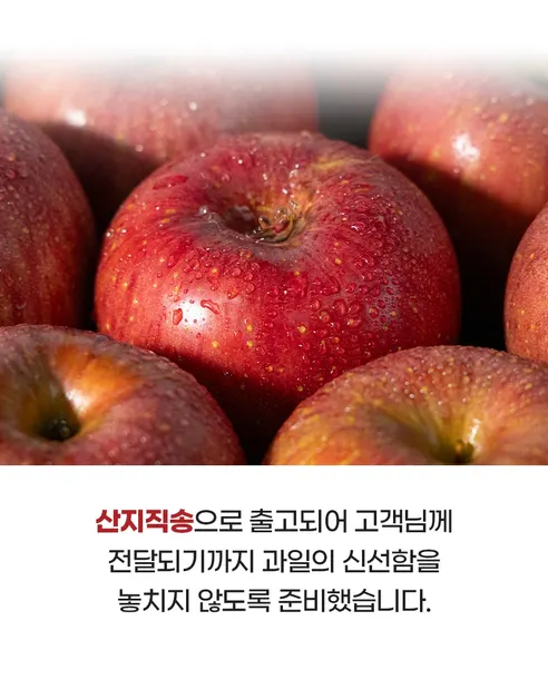 대박농수산 정성담은 사과 선물세트, 보자기동봉, 5kg, 1박스 상세 이미지 13