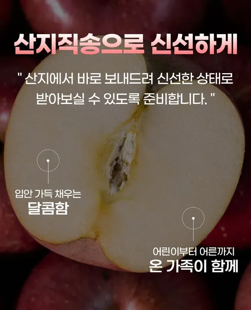 대박농수산 정성담은 사과 선물세트, 보자기동봉, 5kg, 1박스 상세 이미지 9