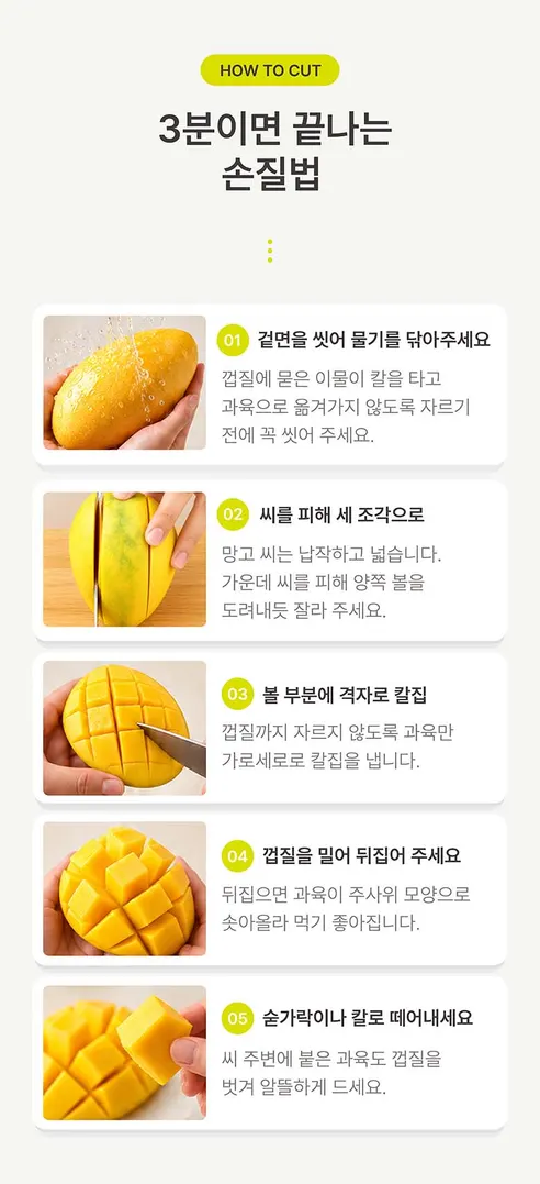 베트남 직수입 골드 망고, 2-3과, 1kg, 1박스 상세 이미지 5