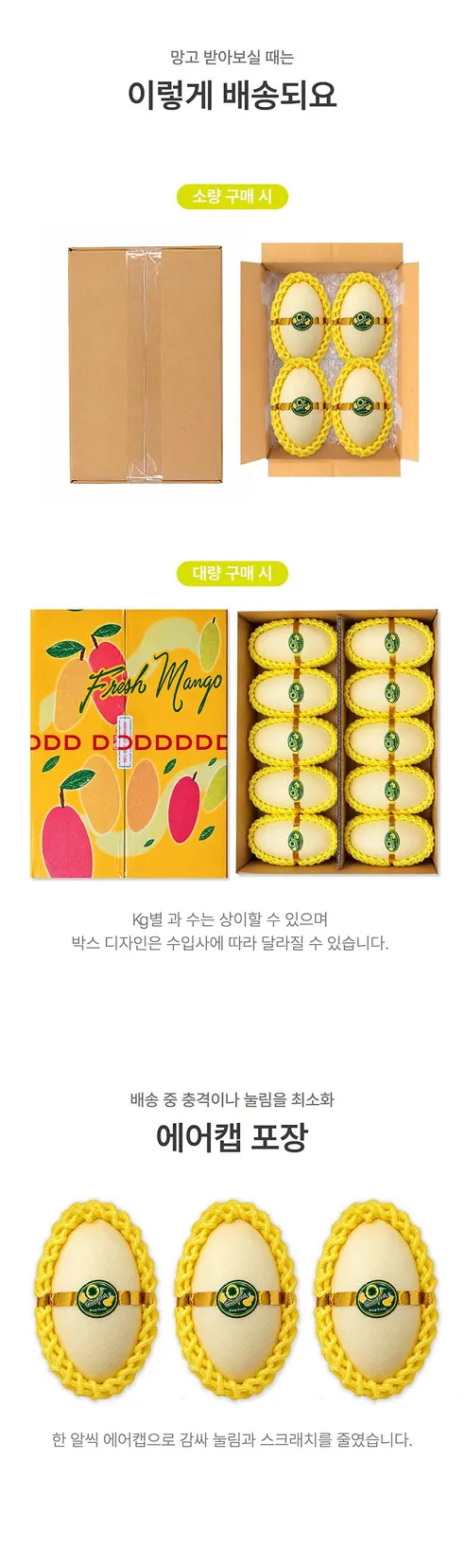 베트남 직수입 골드 망고, 2-3과, 1kg, 1박스 상세 이미지 6