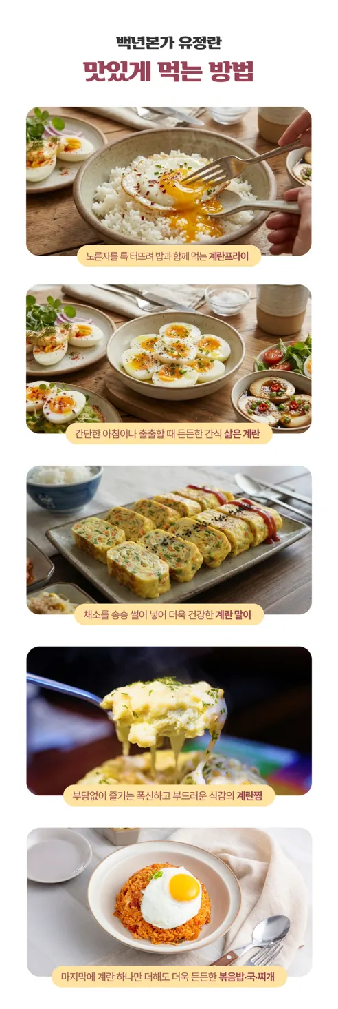 백년본가 국내산 무항생제 난각번호 1번 유정란, 대란, 40구, 1개 상세 이미지 16