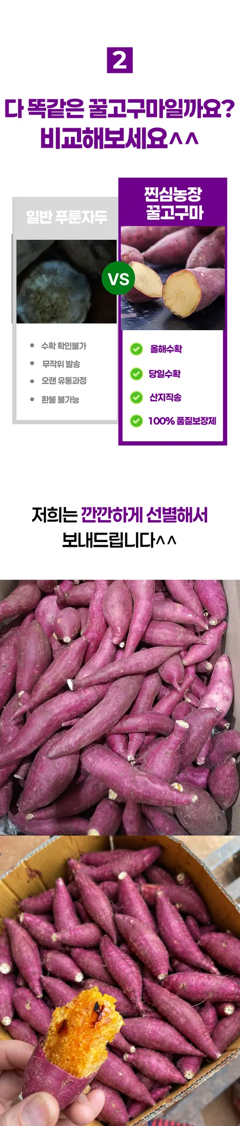 꿀고구마 베니하루카, 한입, 5kg, 1박스 상세 이미지 9