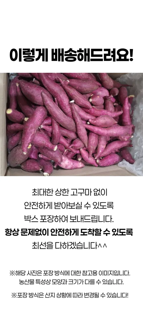 꿀고구마 베니하루카, 한입, 5kg, 1박스 상세 이미지 12