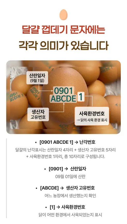 백년본가 국내산 무항생제 난각번호 1번 유정란, 대란, 40구, 1개 상세 이미지 9