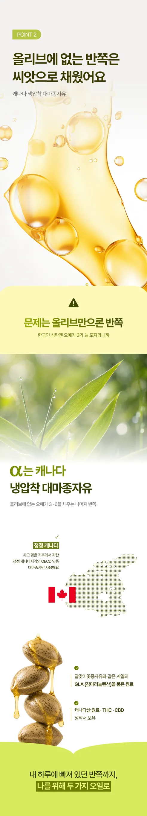 뉴트리엘 이너포뮬러 올리브 알파 16, 60정, 1개 상세 이미지 36