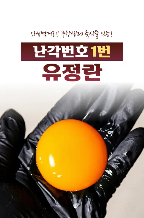 백년본가 국내산 무항생제 난각번호 1번 유정란, 대란, 40구, 1개 상세 이미지 3