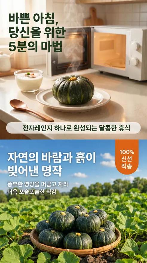 정다운농원 제주 미니 단호박 보우짱, 로얄과, 3kg, 1박스 상세 이미지 6