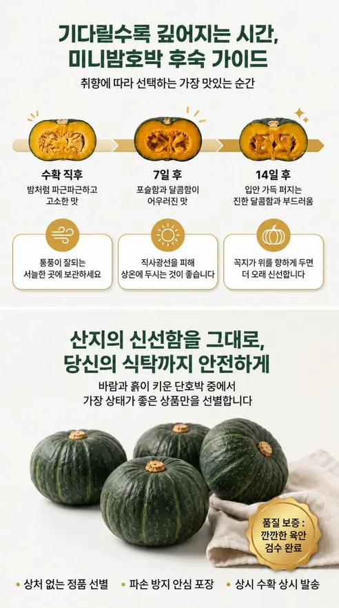 정다운농원 제주 미니 단호박 보우짱, 로얄과, 3kg, 1박스 상세 이미지 9