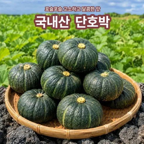 정다운농원 제주 미니 단호박 보우짱, 로얄과, 3kg, 1박스 상세 이미지 1