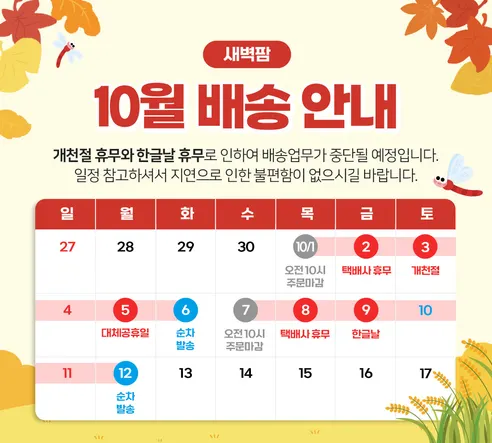 새벽팜 백김치, 3kg, 1개 판매자 안내